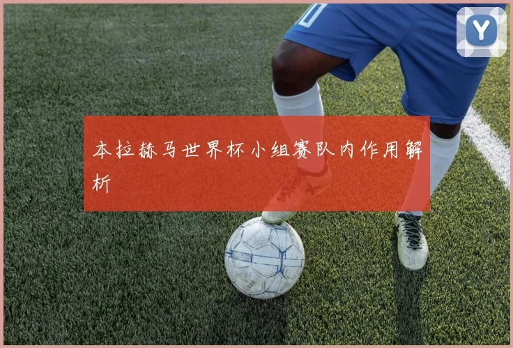 本拉赫马世界杯小组赛队内作用解析