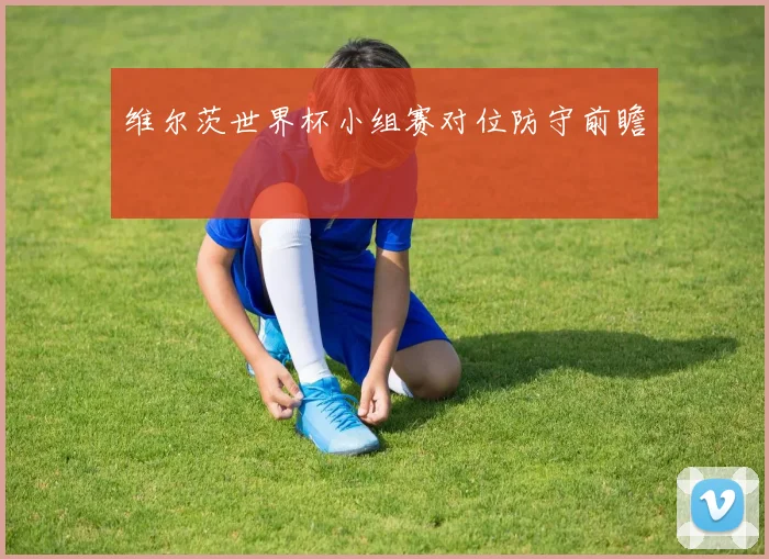 维尔茨世界杯小组赛对位防守前瞻