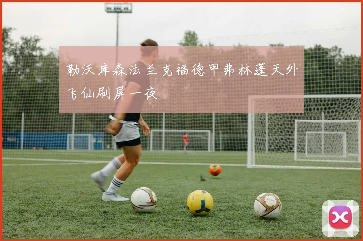 勒沃库森法兰克福德甲弗林蓬天外飞仙刷屏一夜