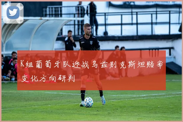 K组葡萄牙队迎战乌兹别克斯坦赔率变化方向研判